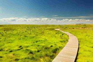 OTA Wants To Be A Hotel And Hotel Wants To Be An OTA : Grass Looks Greener Syndrome.