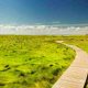 OTA Wants To Be A Hotel And Hotel Wants To Be An OTA : Grass Looks Greener Syndrome.