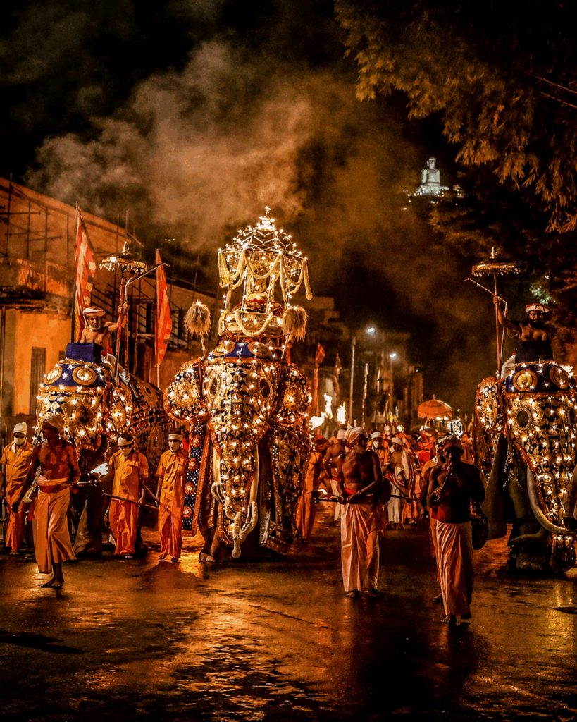 Nighttime Esala Perahera procession with three illuminated elephants, torchbearers, ceremonial umbrellas, and a vibrant crowd celebrating Sri Lanka's cultural heritage.